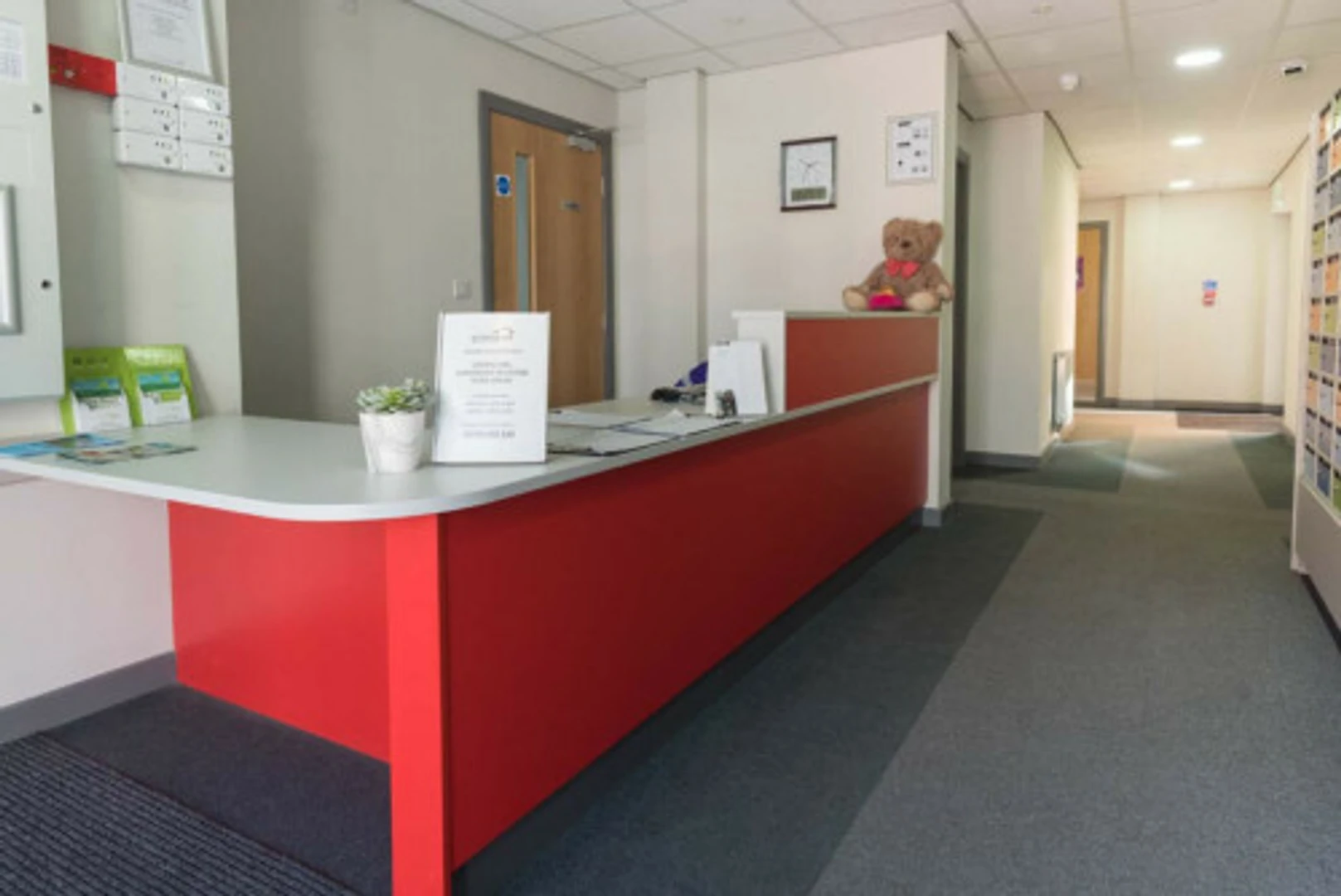 Camera accogliente per studenti disponibile a 