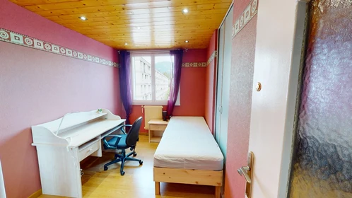 Chambre à louer dans un appartement en colocation à Grenoble