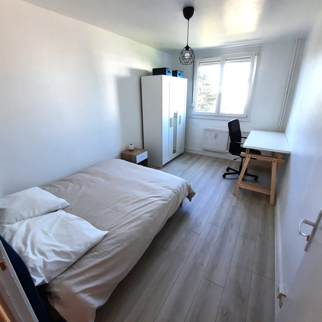 Habitación en alquiler con cama doble Mulhouse