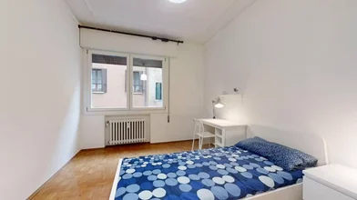 Stanza privata in Viale Giuseppe Garibaldi, Mestre, immagine 6 di 10