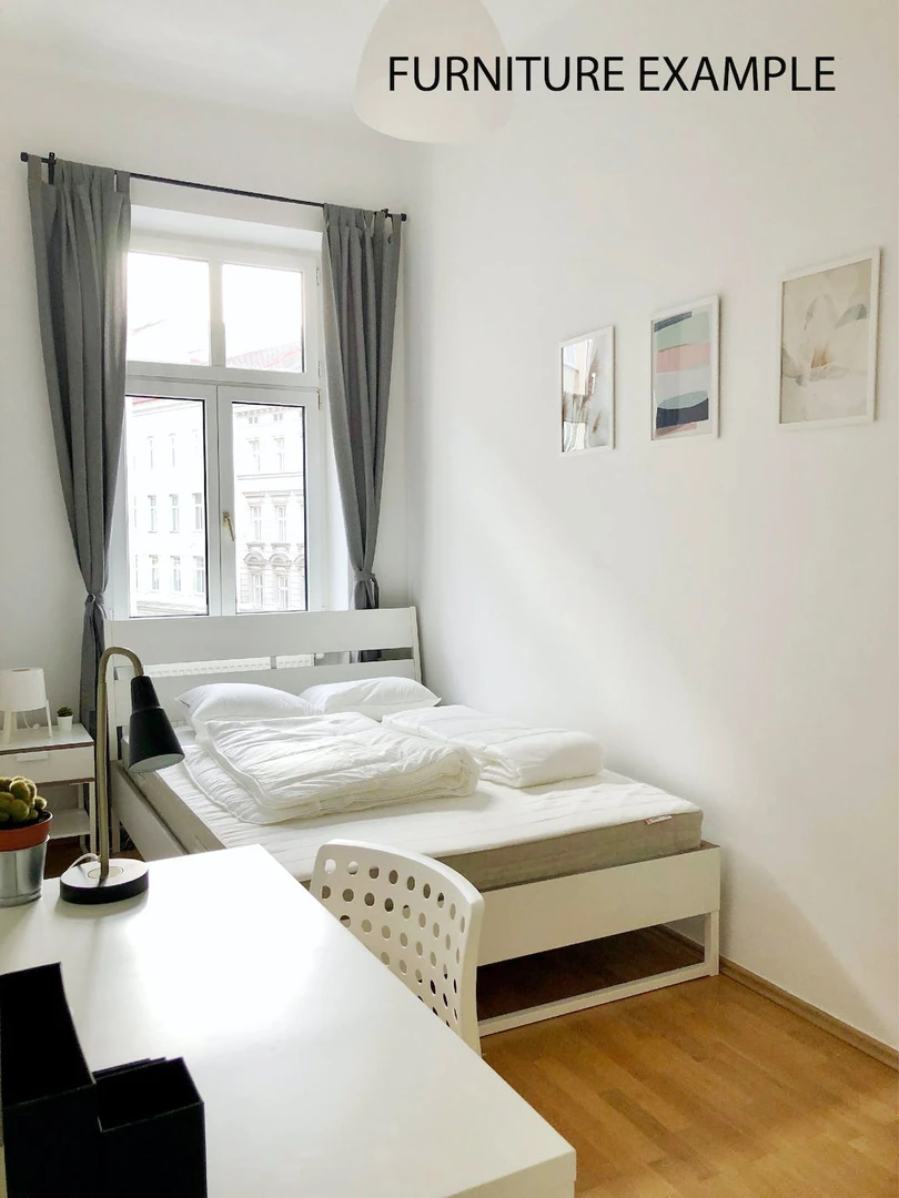 Cheap shared room in Vienna