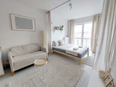 Całe miejsce Pola Karolińskie 2b, obraz 21 21