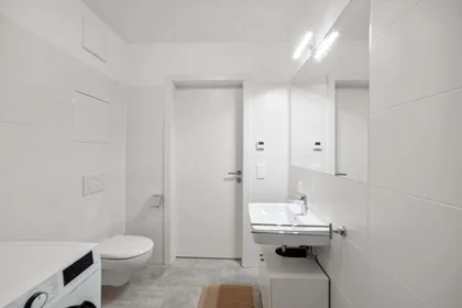 Özel oda konumu Waagner-Biro-Straße 128, 8020 Graz, Austria, 4 33 görüntüsü