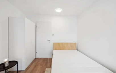 Chambre privée à Waagner-Biro-Straße 128, 8020 Graz, Austria, image 2 de 16