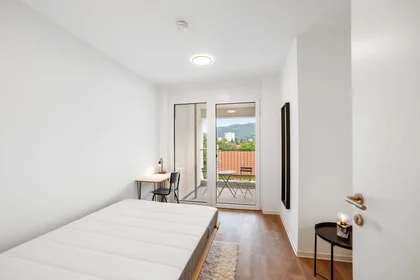 Privatzimmer in der Waagner-Biro-Straße 128, 8020 Graz, Austria, bild 1 von 10