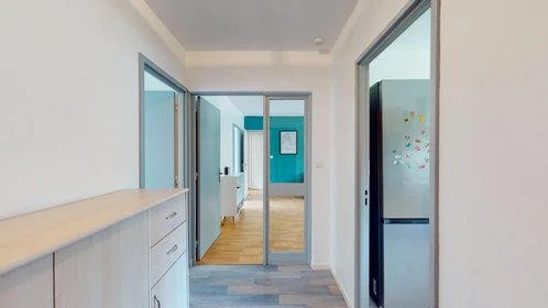 Prywatny pokój 18 Rue De Franche-Comté, obraz 27 32