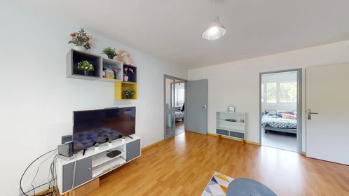 Prywatny pokój 18 Rue De Franche-Comté, obraz 30 32