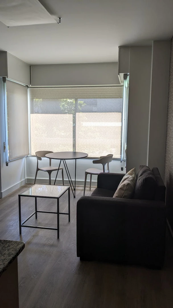 Entire fully furnished flat in A Coruña