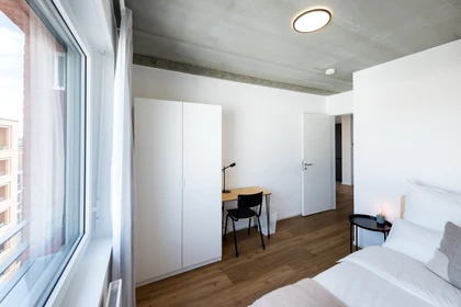 Bright private room in Frankfurt