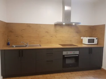 Prywatny pokój Orléans, 45000, obraz 1 10