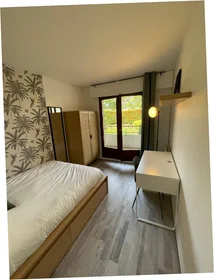 Prywatny pokój Cergy, 95000, obraz 8 18
