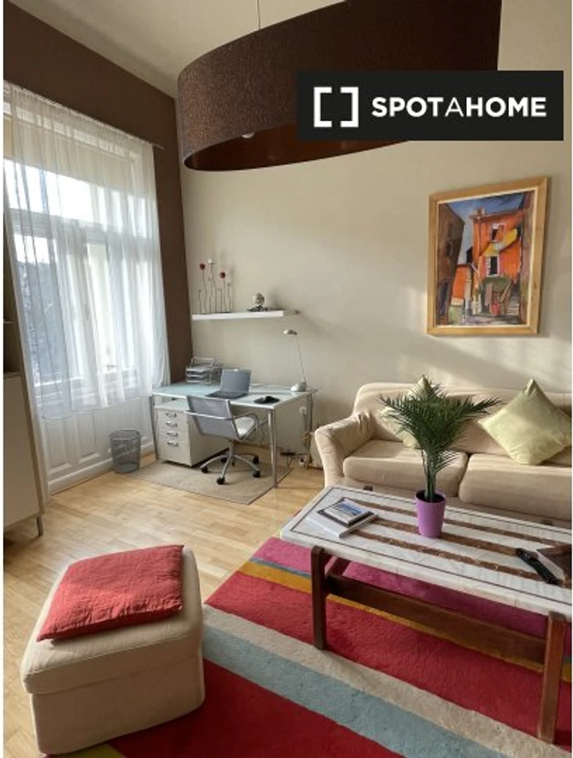 Studio for 2 people in Budapest