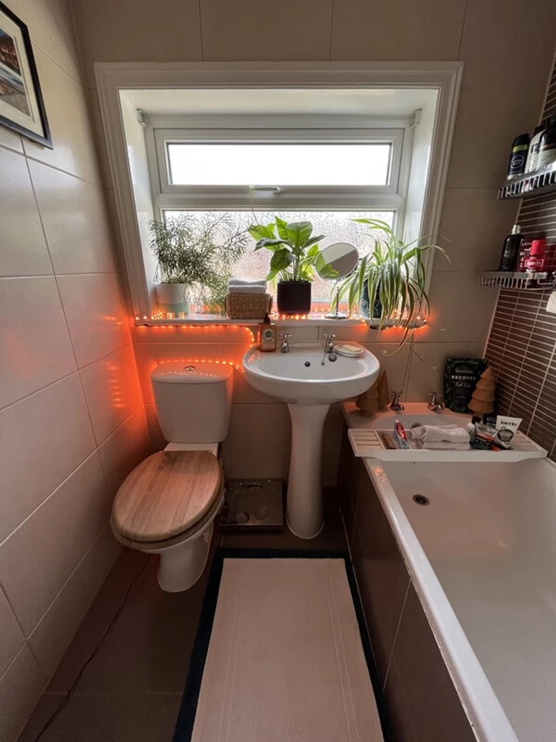 Bright shared room for rent in Chester