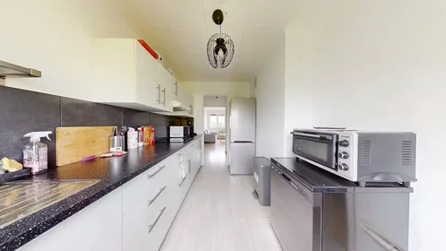 Private room at Rue Jean de Montlaur, Lemasson, image 8 of 10