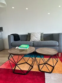 Logement entier à Rigastraat, Hoge Weide, image 1 de 10