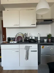 Logement entier à Rigastraat, Hoge Weide, image 3 de 10