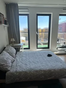 Logement entier à Rigastraat, Hoge Weide, image 5 de 10