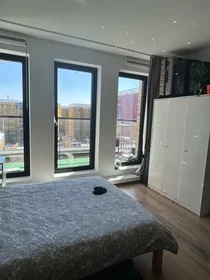 Logement entier à Rigastraat, Hoge Weide, image 6 de 10