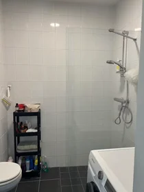 Logement entier à Rigastraat, Hoge Weide, image 8 de 10