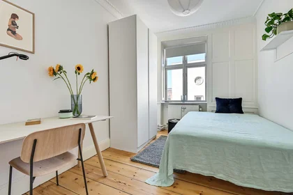 Chambre privée à Nørrebro, Copenhagen, Denmark, image 1 de 10