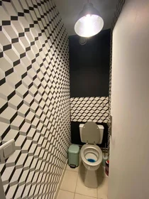 Habitación privada en Noisy-le-grand, 93160, imagen 6 de 19