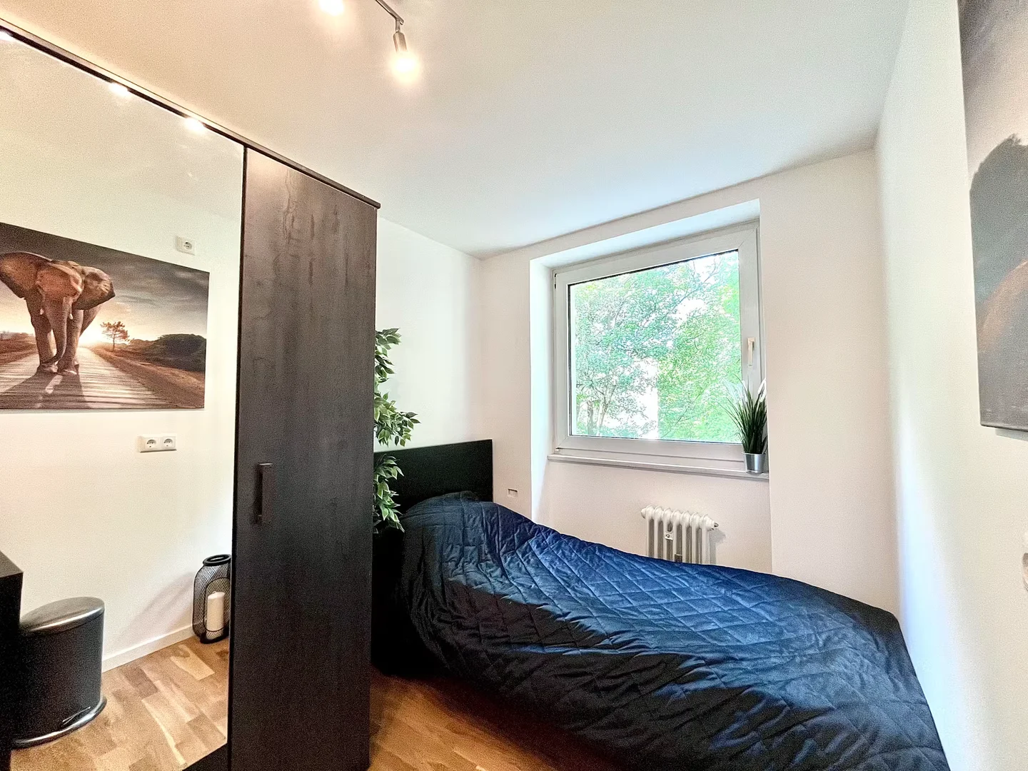 Affordable room for students with ample lighting in 