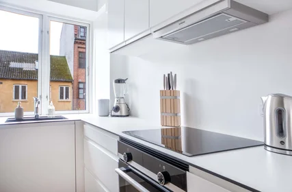 Quarto privado em Aarhus, Denmark, imagem 8 de 16