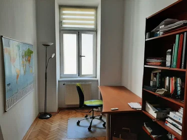 Prywatny pokój Hillerstraße, Leopoldstadt, obraz 1 10