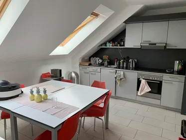 Prywatny pokój Gottesauer Straße, Oststadt, obraz 6 10
