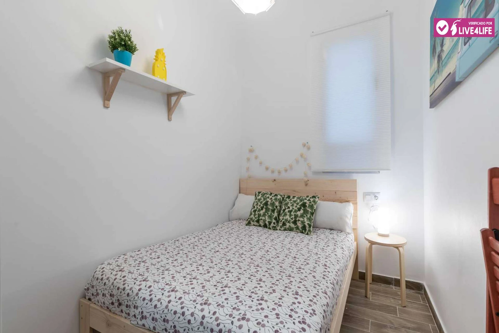 Cheap shared room in valencia