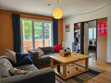 Prywatny pokój Strasbourg, 67000, obraz 1 9
