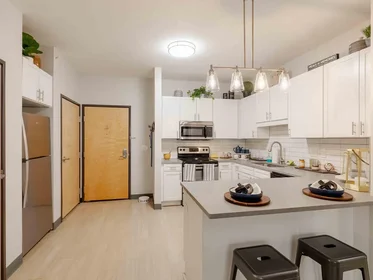 Appartamento intero in residence in 310 15th Ave SE, Minneapolis, MN 55414, United States, immagine 21 di 26