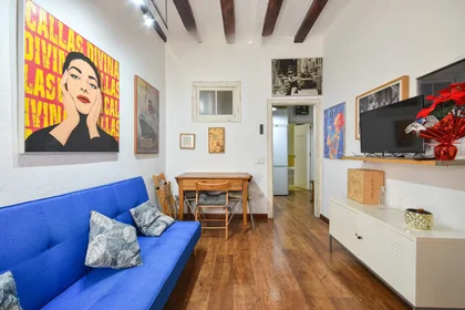 Gesamte Unterkunft in der Carrer de Sant Vicenç, El Raval, bild 3 von 10