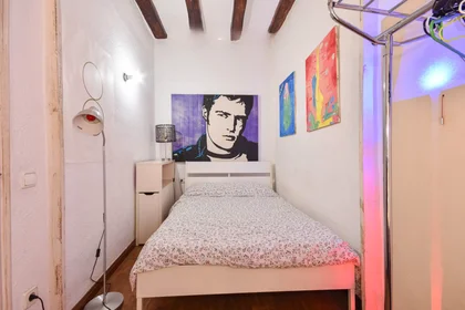 Gesamte Unterkunft in der Carrer de Sant Vicenç, El Raval, bild 9 von 10