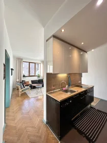Appartamento intero in bulevard "Vasil Levski", Sofia Center, immagine 3 di 10