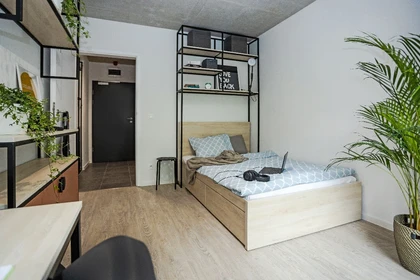 Helles Privatzimmer in wrocław