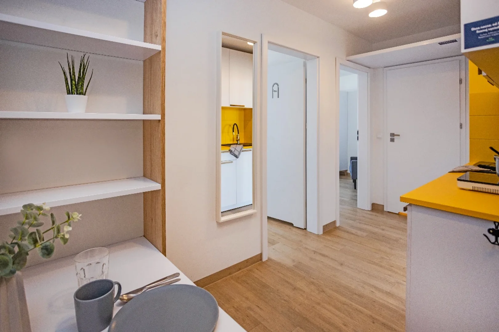 Affordable room for students with ample lighting in 