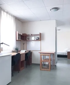 Quarto compartilhado em Calle Miguel de Muzquiz, , imagem 5 de 10