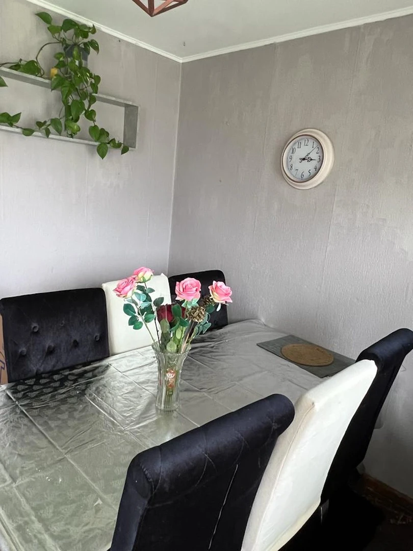 Room for rent with double bed Haarlem