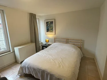 Appartamento intero in Annonciadenstraat, Gent, immagine 1 di 10