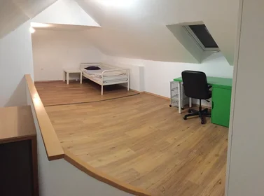 Stanza privata in Maistrova ulica, Maribor, immagine 2 di 10