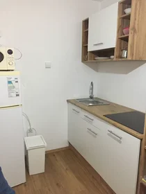 Stanza privata in Maistrova ulica, Maribor, immagine 7 di 10