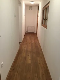 Stanza privata in Maistrova ulica, Maribor, immagine 8 di 10