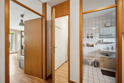 Apartamento inteiro em Rothhäuserstraße, Prohlis, imagem 8 de 10