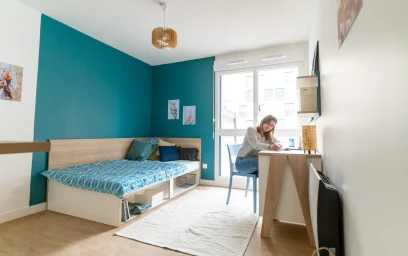 Habitación privada en residencia en Saint-Étienne, 42100, imagen 6 de 6
