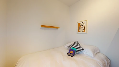 Pokój do wynajęcia z podwójnym łóżkiem w Lille