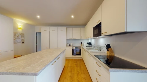 Privatzimmer im Wohnheim in der 15 rue des Iles, bild 21 von 28