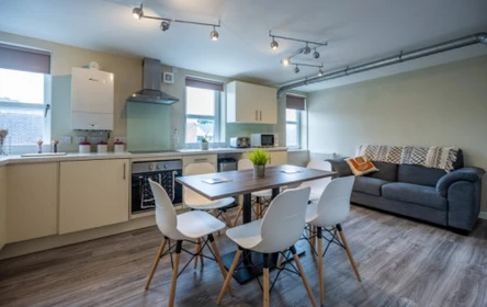 Özel oda konumu Peterson Hall Dundee DD1 4LS, 4 12 görüntüsü