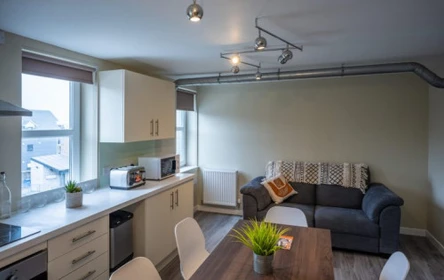 Özel oda konumu Peterson Hall Dundee DD1 4LS, 5 12 görüntüsü