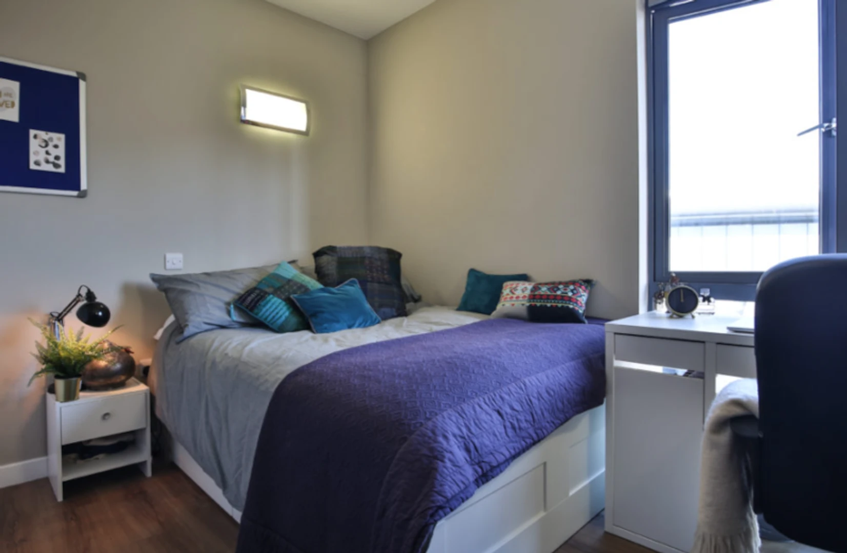 Renting rooms by the month in exeter